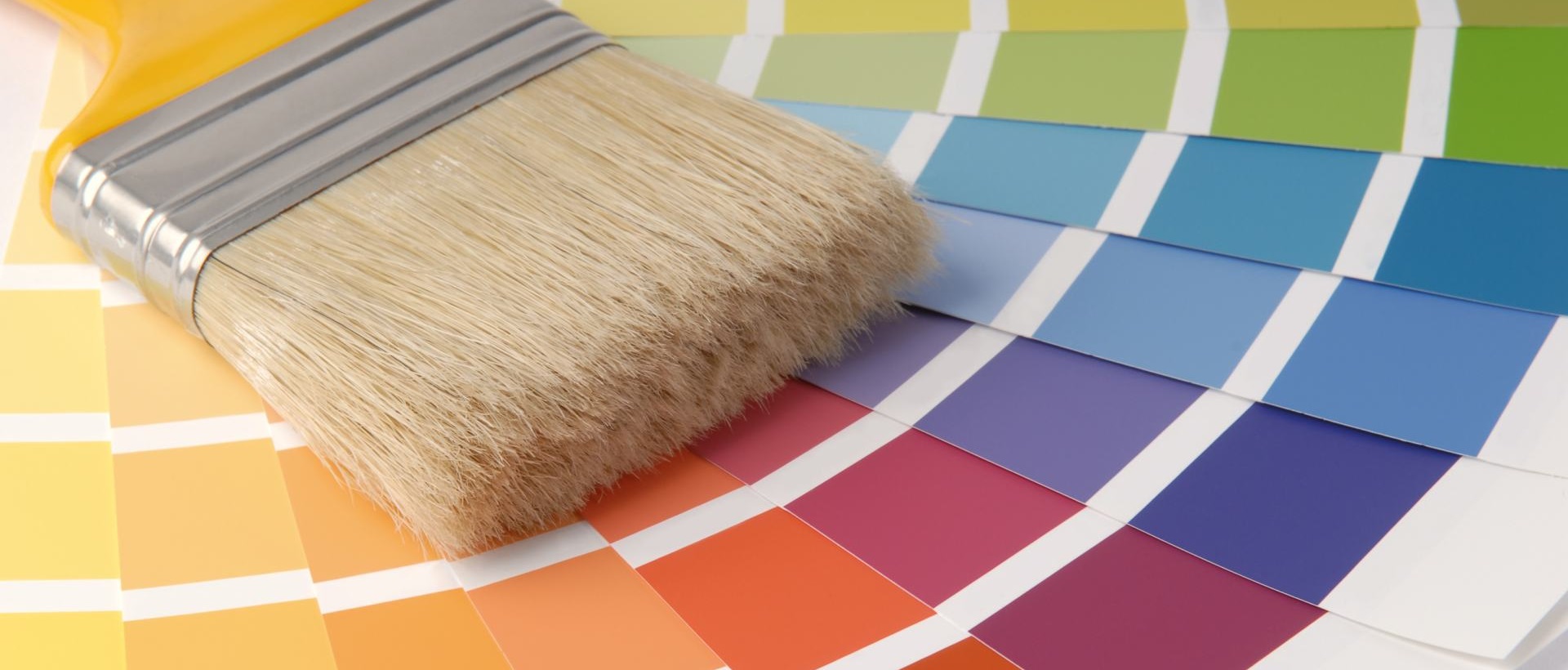Painter E11